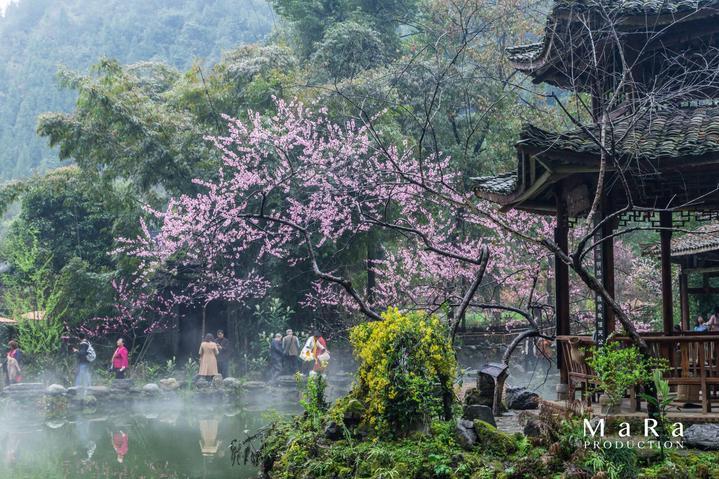冰球突破游戏网站